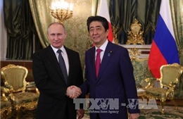 Nhật Bản, Nga nhất trí xúc tiến các hoạt động chung trên các đảo tranh chấp 